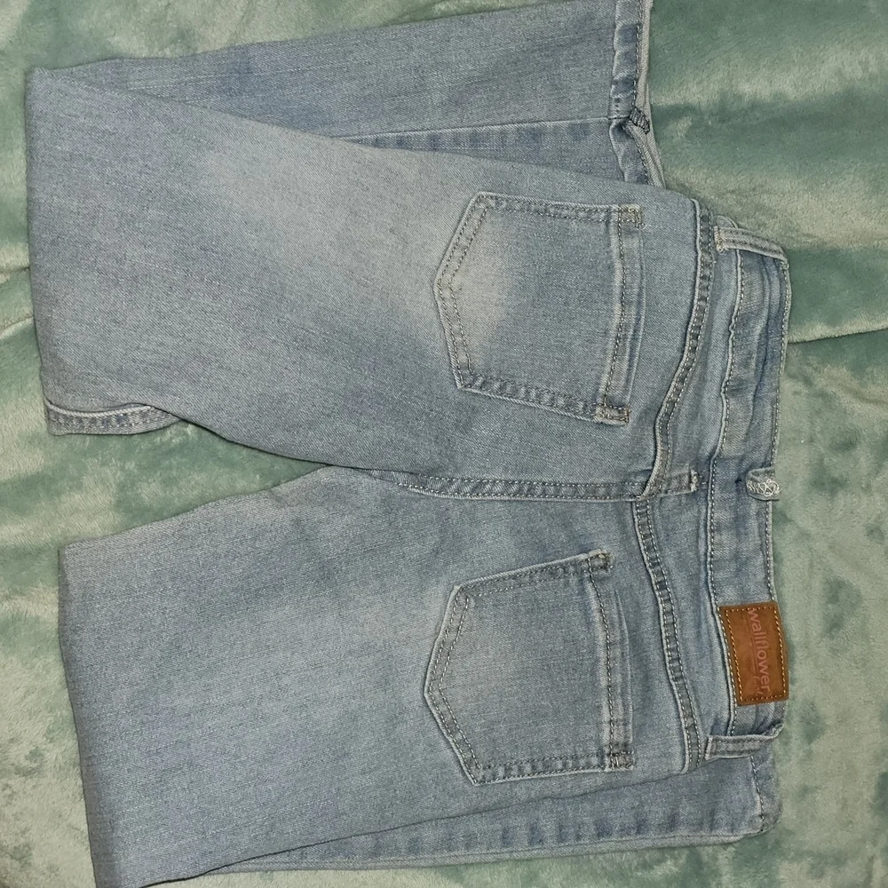 Wallflower Blue Flared Denim Jeans - Picture 10 of 14